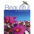 Beautiful in God's Eyes